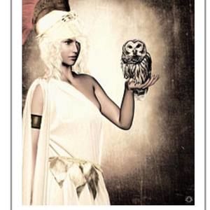 Meet your Posher, Carol